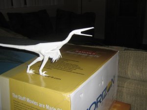 buitreraptor 3.jpg