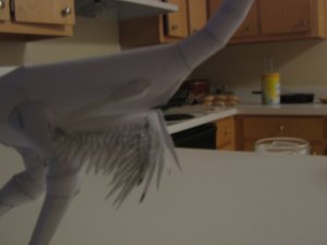 buitreraptor 4.jpg