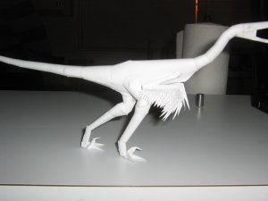 buitreraptor 5.jpg