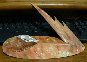 wing.jpg