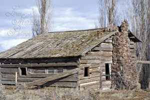 paulina-homestead-02-web.jpg
