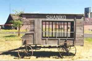 shaniko8.jpg
