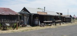 shaniko_ghoststreet1.jpg