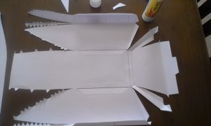 IMAG0878.jpg