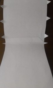 IMAG0884.jpg