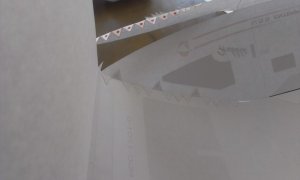 IMAG0887.jpg