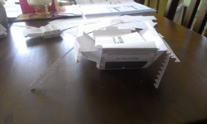 IMAG0888.jpg