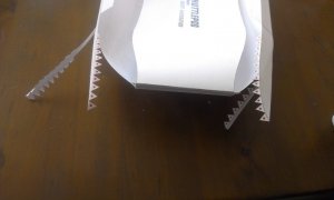 IMAG0889.jpg