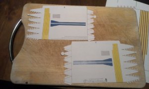 IMAG0916.jpg