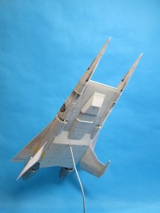 IMG_1128.jpg