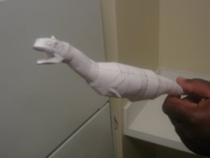 mujungasaurus 4.jpg