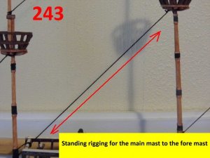 243.jpg