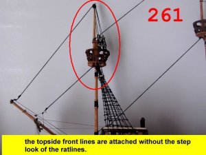 261.jpg
