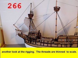 266.jpg
