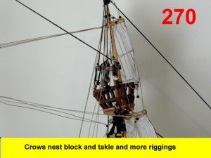 270.jpg