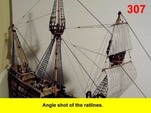 307.jpg