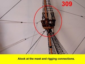 309.jpg