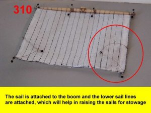310.jpg