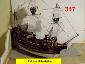 317.jpg