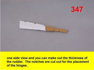 347.jpg