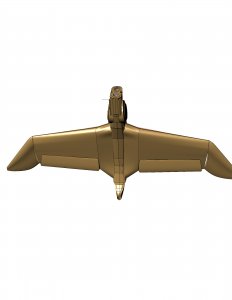 N1.jpg