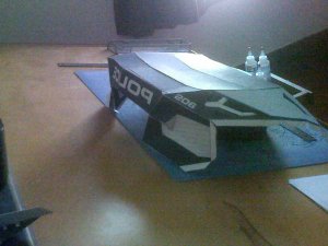 003.JPG