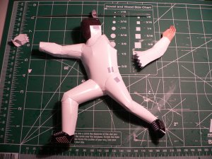 Fencer2-1.jpg