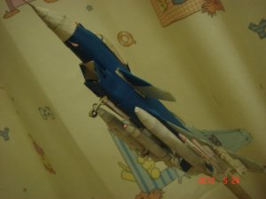 DSC09220.JPG