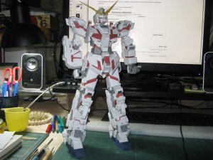 IMG_0482-medium.jpg