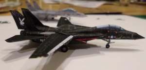 F14vx01.jpg