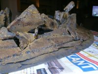 DSC_0051.jpg