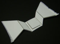 DSCI0268.jpg