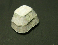 DSCI02900.jpg
