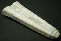 DSCI02910.jpg