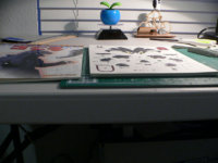 20140314 014.jpg