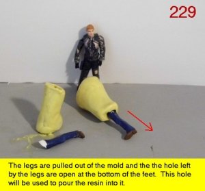 229.jpg