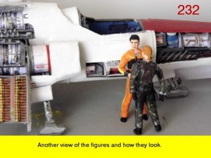 232.jpg