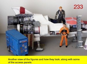 233.jpg