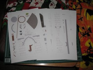 IMG_2935.JPG