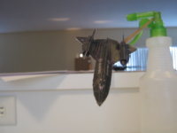 paper sr-71 3.JPG