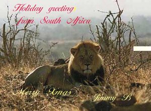 xmas greetings.jpg