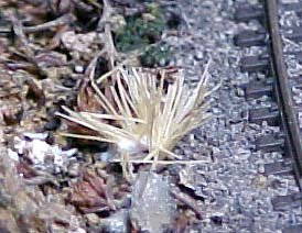 mvc-025f.jpg