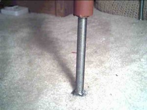 leg.jpg