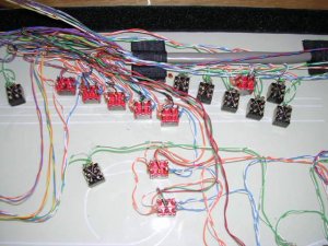 p3.jpg