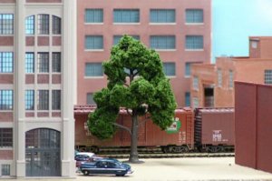 tree.jpg