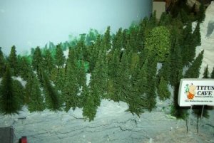 trees.jpg
