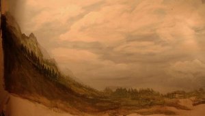 back drop.jpg