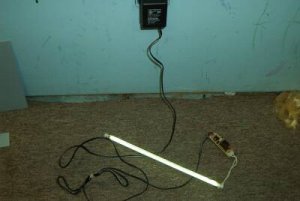 trouble light..jpg