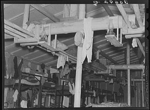 bunkhouse.jpg