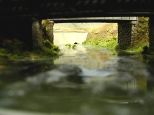 dscn0911.jpg